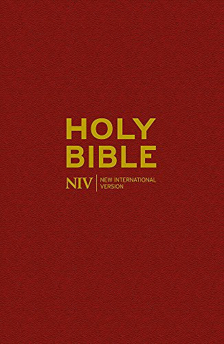 Red textured cover of the NIV Holy Bible with gold lettering.