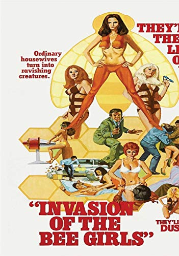 1973 movie poster featuring women in revealing outfits and a man with a gun.
