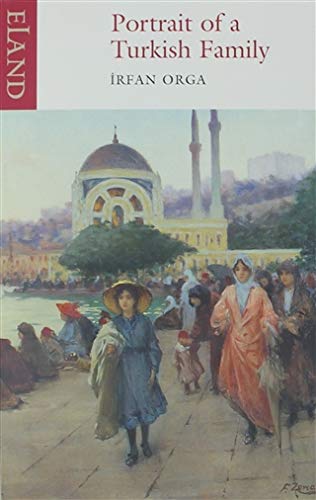 Book cover: painted scene of people in front of Istanbul mosques.