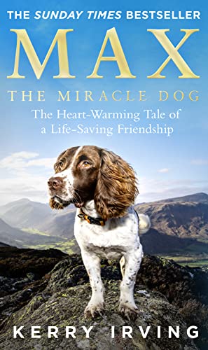 A brown and white spaniel stands on a rocky mountain peak against a sky.