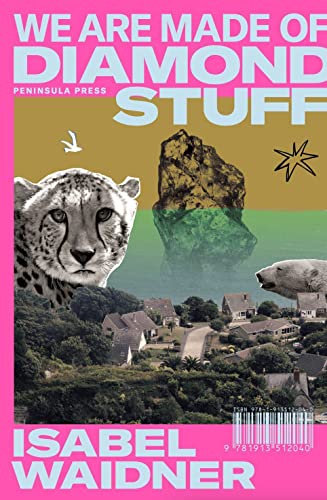 Book cover with leopard, polar bear, rock, houses, and bird collage.