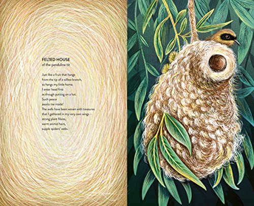 Open book spread showing a bird's nest and accompanying text.