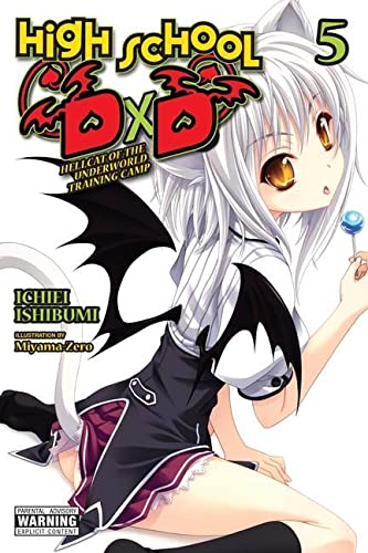 Light novel cover: Anime girl with white hair, black wings, and a lollipop.