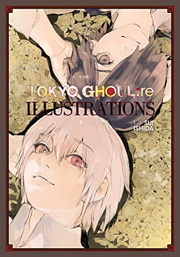 Book cover featuring two anime characters lying on grass with the title Tokyo Ghoul:re.