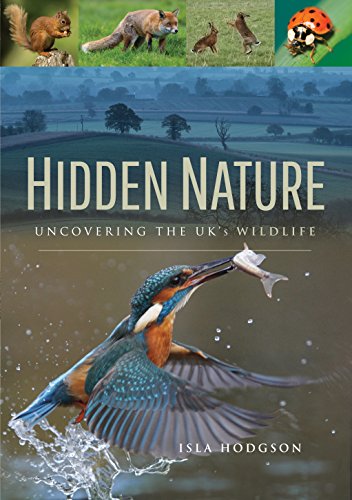 Book cover featuring UK wildlife: a kingfisher, fox, squirrel, and insects.