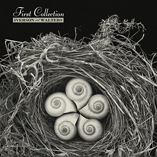 Black and white album cover with snail shells in a nest.