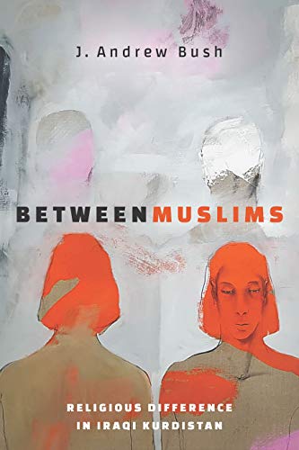 Book cover featuring abstract figures in orange and grey with the title Between Muslims.
