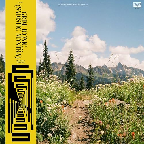 Vinyl record cover with a mountain landscape and abstract black design.