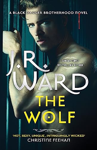 Book cover featuring a shirtless man with shadowed face and prison bars.