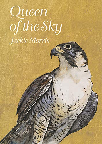 Book cover featuring a watercolor painting of a peregrine falcon against a gold background.