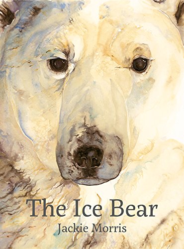 Watercolor illustration of a polar bear face with the book title The Ice Bear.