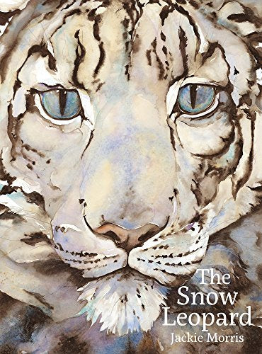 Watercolor painting of a snow leopard’s face with piercing blue eyes.