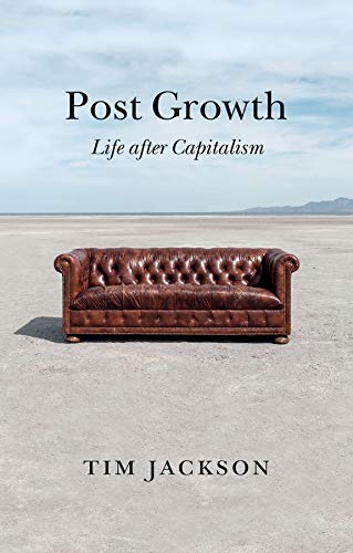 Book cover showing a leather sofa in the middle of a vast, empty desert.