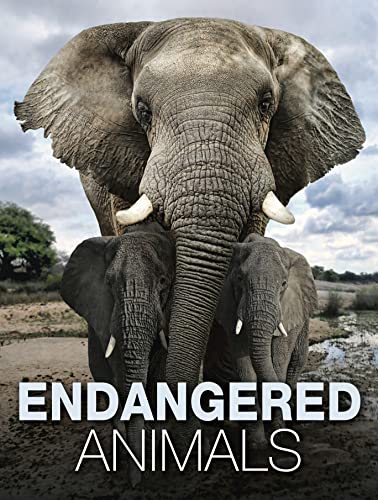 Book cover featuring a close-up of African elephants, titled "Endangered Animals".