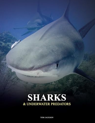 A large shark swims in deep blue water on the cover of a book.