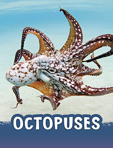 Spotted octopus swimming over sand, book cover with title "OCTOPUSES".