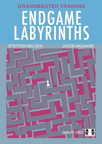 Book cover: “Endgame Labyrinths” with a maze and a lone chess piece.