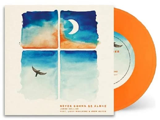 Orange vinyl record with watercolor-style album cover featuring a bird and moon.