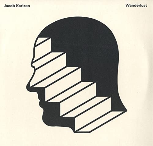 Black and white album cover featuring a head with stair steps inside.