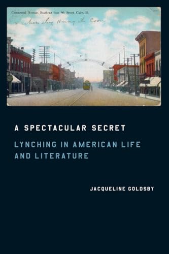 Book cover depicting a historic street scene and title about lynching.