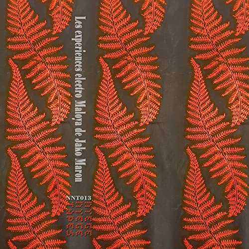 Vinyl record cover with repeating orange fern-like pattern and text.
