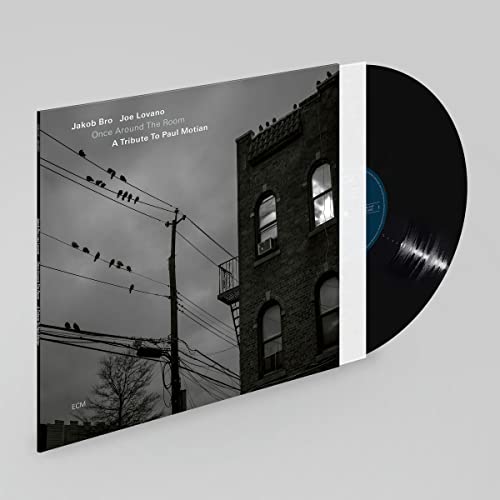 Vinyl record and album cover featuring a grayscale cityscape with birds.
