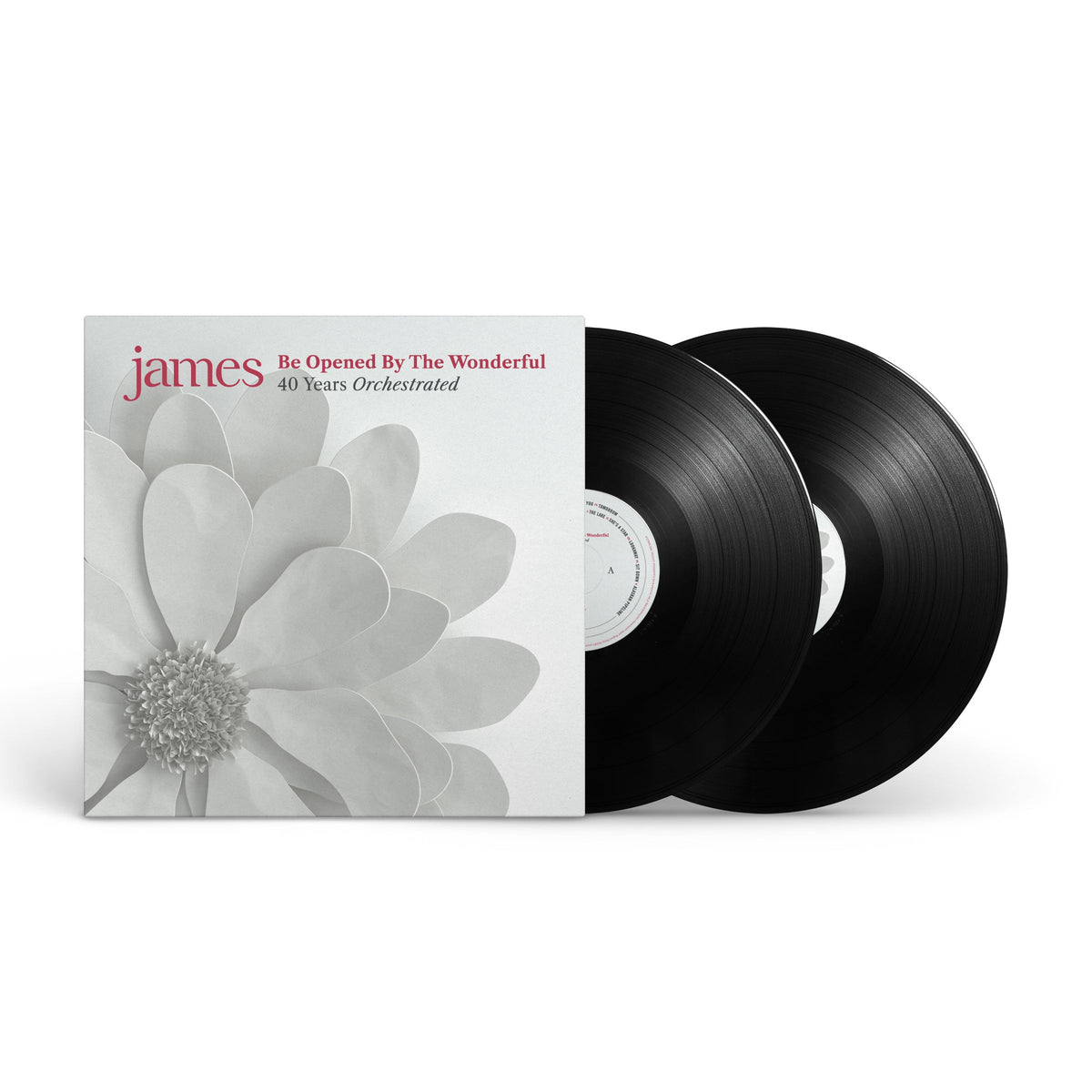 James album cover with a white flower and two black vinyl records.