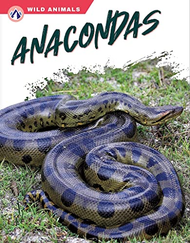 Book cover featuring a large, coiled green anaconda in grass.