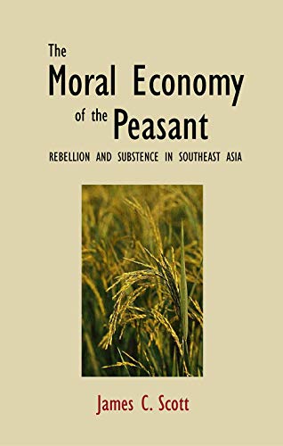 Book cover with title, author, and image of golden rice stalks.