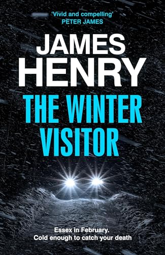 Book cover: dark snowy landscape with headlights, title “The Winter Visitor”.