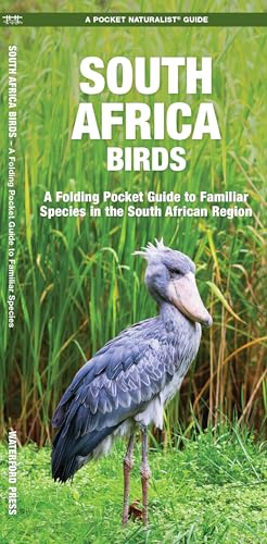 A shoebill stork stands in tall green grass on a South Africa bird guide.
