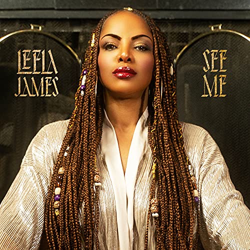 Close-up portrait of Leela James with long braided hair, album cover.
