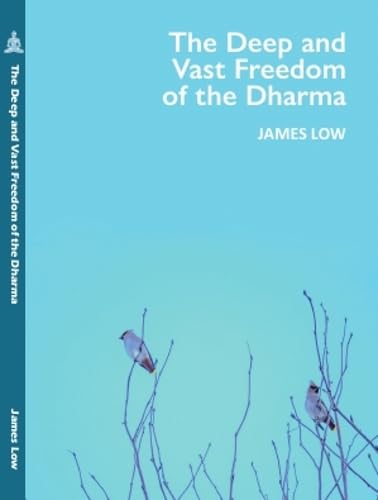 Book cover with blue gradient, bird silhouettes, and white text.