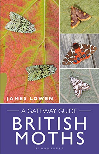 Book cover featuring four colorful moths on foliage, titled “British Moths.”