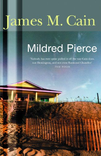 Book cover featuring a beach house, sand dunes, and a wooden fence.