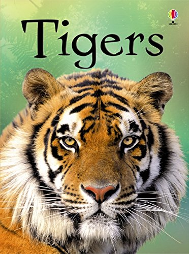 Close-up of a tiger’s face on the cover of a children’s book.