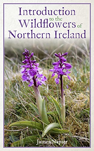 Book cover featuring purple orchids, titled "Introduction to the Wildflowers of Northern Ireland".