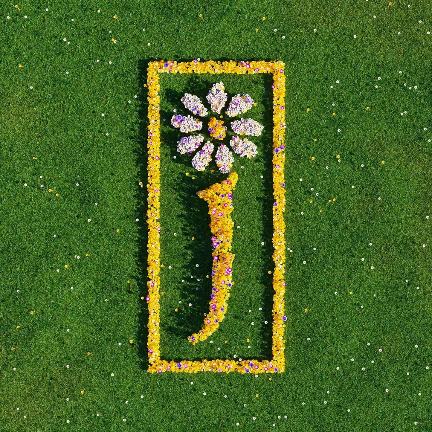 CD cover art: letter “J” formed from yellow and purple flowers on grass.