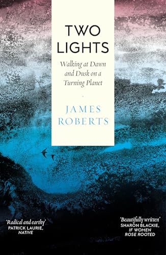 Book cover with a white central panel over a textured blue and pink landscape.