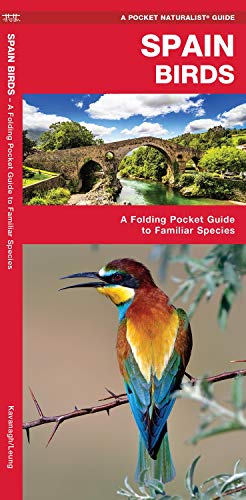Red bird guide cover with a colorful bee-eater and Spanish landscape.