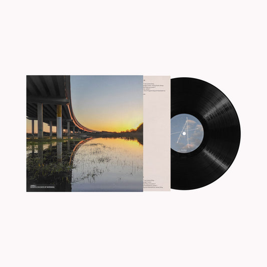 Jamie T "Ghosts" vinyl record with a landscape album cover.