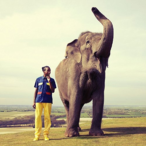 Man in yellow and blue stands beside a large grey elephant.