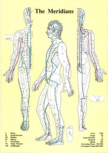 Anatomical chart showing human meridians and energy pathways in three views.