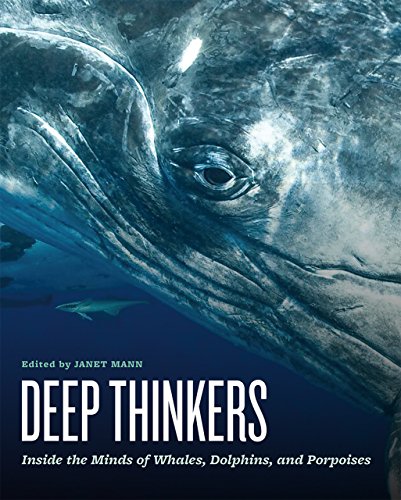 Book cover featuring a close-up of a whale’s eye and the title “Deep Thinkers.”