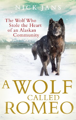 Book cover: black wolf standing in snowy Alaskan landscape.