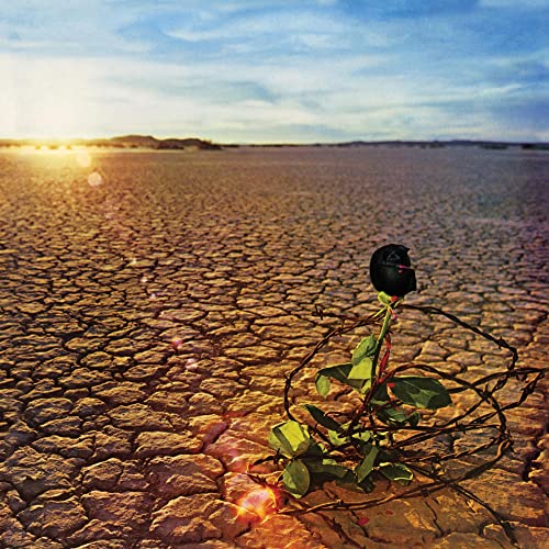 JD Souther’s “Black Rose” vinyl album cover: a black rose in a cracked field.