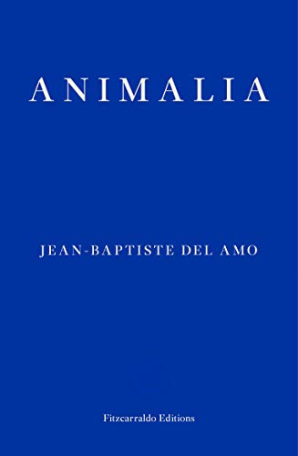 Book cover with white text on a solid blue background reading Animalia by Jean-Baptiste Del Amo.