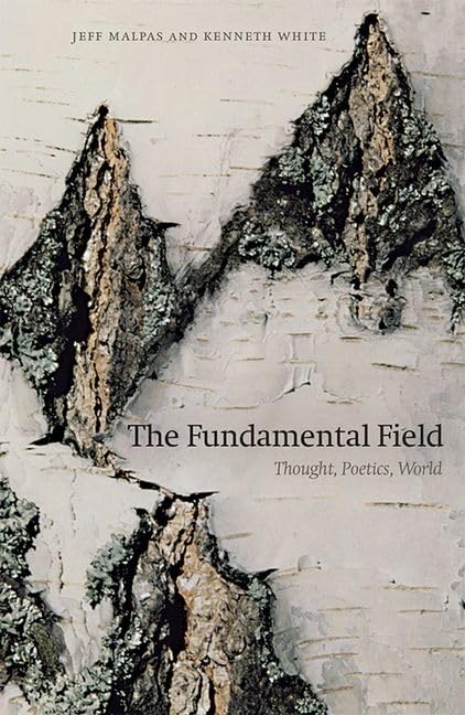Book cover with birch bark texture and title “The Fundamental Field”.