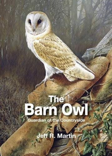 Barn owl perched on rocks, facing forward, book cover illustration.