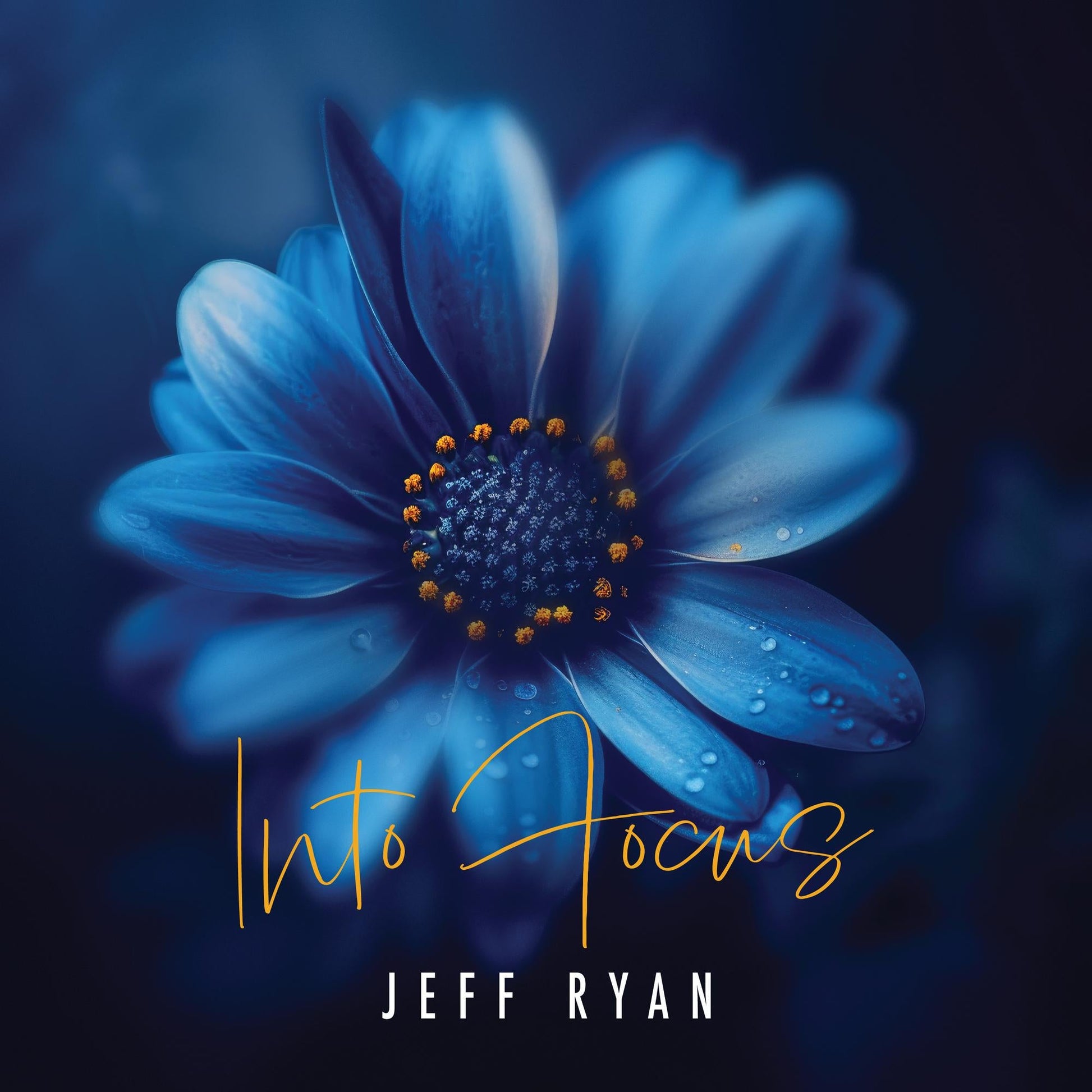 CD cover for "Into Focus" by Jeff Ryan, featuring a blue flower.